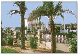 AL-Azizia Gardens 2faddan