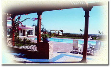 AL-Azizia Gardens 4faddan